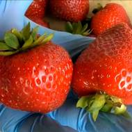 Саджанець Суниця садова Корі